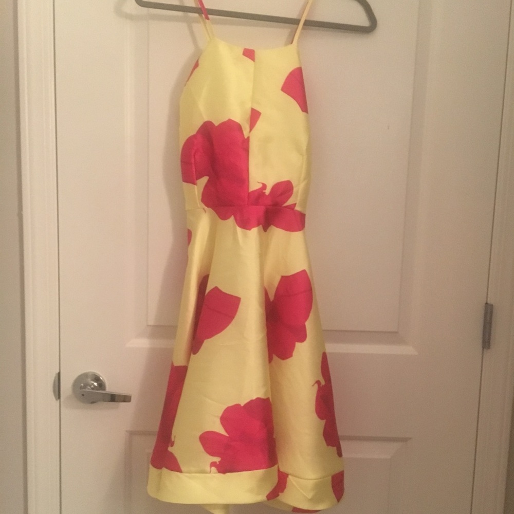 Springy Floral Dress Brand New